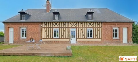 photo no. 11