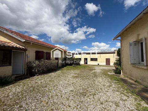 photo no. 12