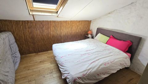 photo no. 12