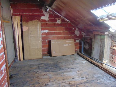 photo no. 9