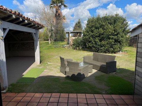 photo no. 6