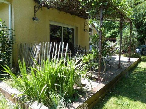 photo no. 16