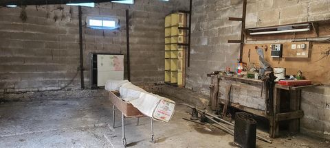photo no. 10