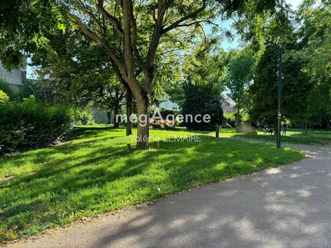 photo no. 10