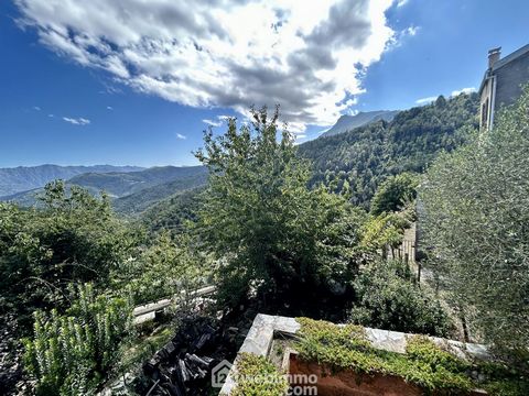 photo no. 13
