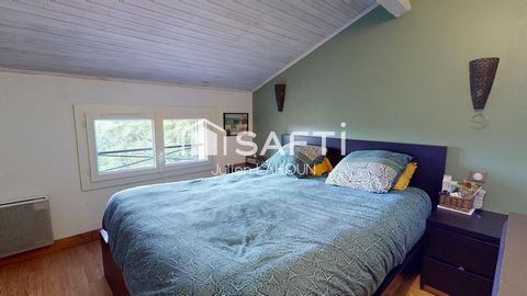 photo no. 6