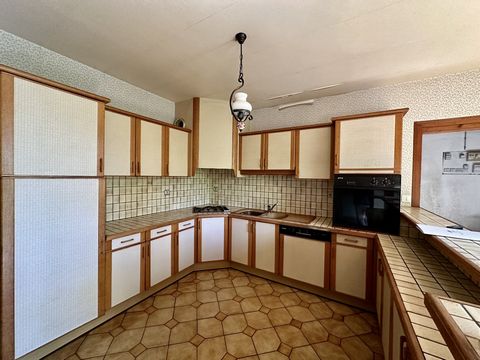 photo no. 10