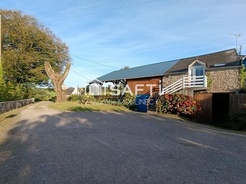 photo no. 5