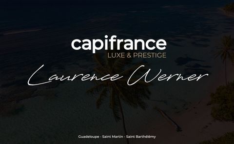 Ensemble immobilier avec dépendances et piscine sur 2596 m² de terrain
