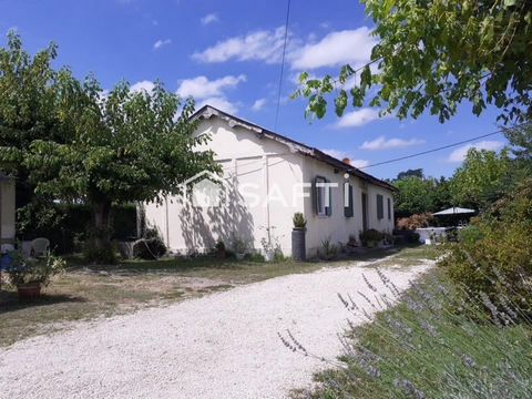 photo no. 3