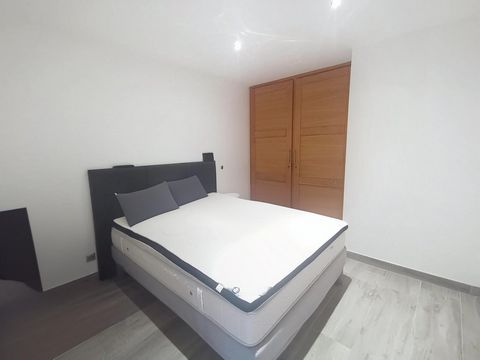 photo no. 8