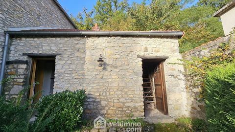 photo no. 11