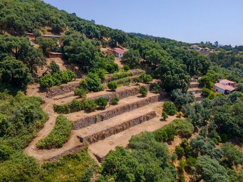DESCRIÇÃO Terreno Misto sito em Monchique, Algarve, com 2,1 hectares de área. O terreno inclui casa destinada a habitação com 144m² de construção. Casa com água, luz e serviço de TV. O terreno contempla 2 minas de água. PROXIMIDADES 15 km de Autódrom...