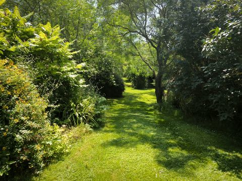 photo no. 4