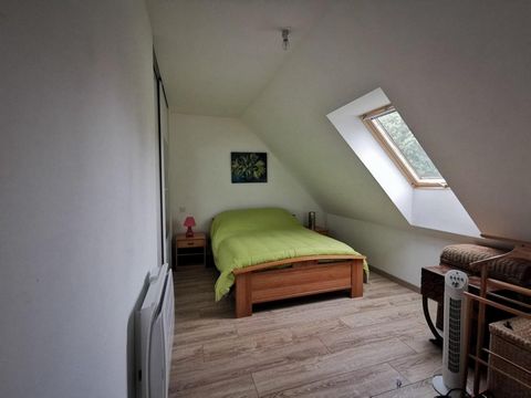 photo no. 6