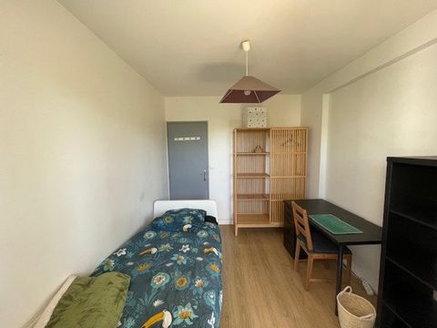 photo no. 3