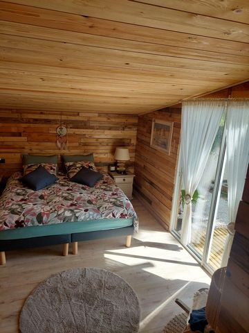photo no. 11