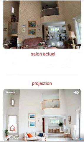 photo no. 11
