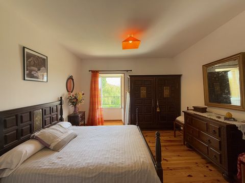 photo no. 15