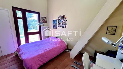 photo no. 7