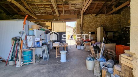 photo no. 14