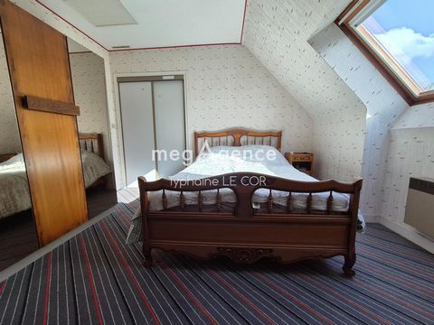 photo no. 8