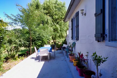 photo no. 7