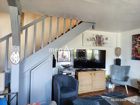 photo no. 10