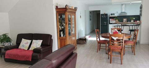 photo no. 12