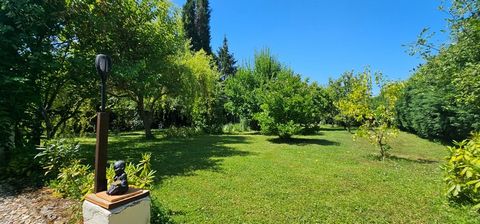 photo no. 1