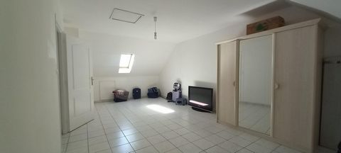 photo no. 12