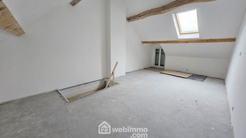 photo no. 17