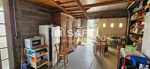 photo no. 12