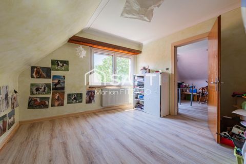 photo no. 19