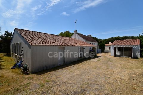 photo no. 2