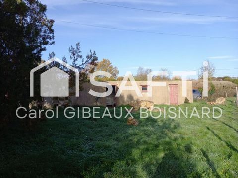 photo no. 13