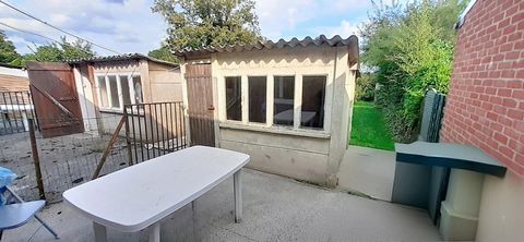 photo no. 6