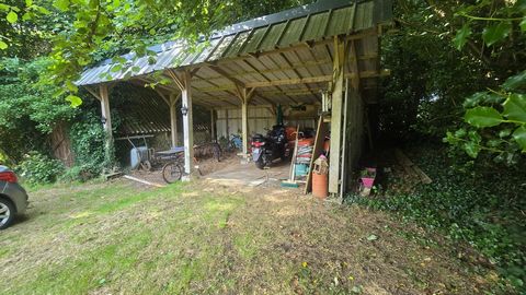 photo no. 13