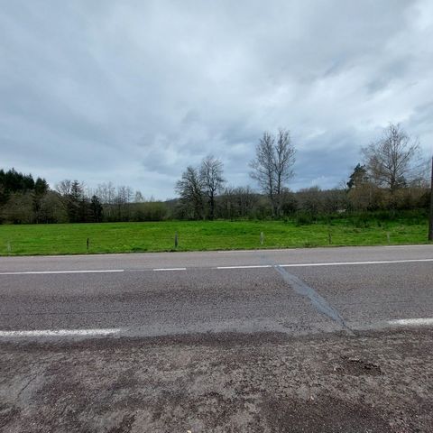 photo no. 2