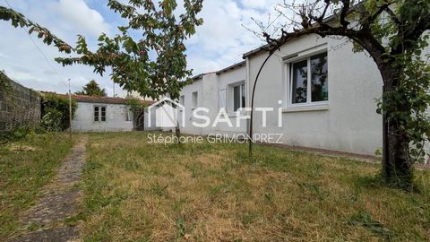 photo no. 9