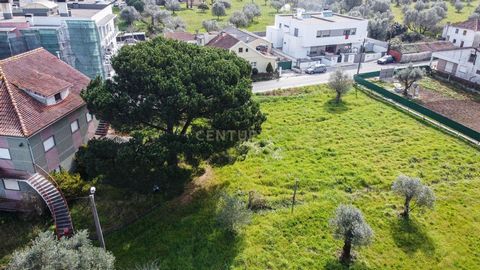 Terreno para construção de 24 fracções Situado na zona da Quinta da Casinha em Pombal, este terreno tem a particularidade de se encontrar numa zona calma e sossegada. Possibilidade de adquirir mais um lote de terreno confinante de 886 m2 e ainda um p...
