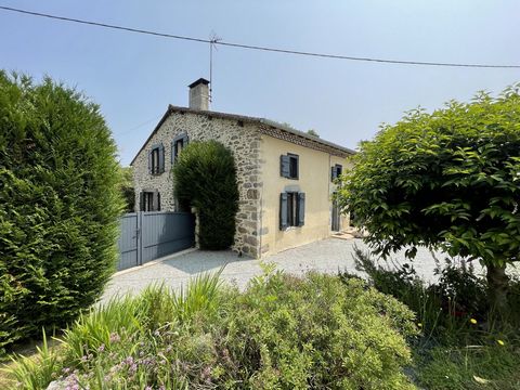 photo no. 17