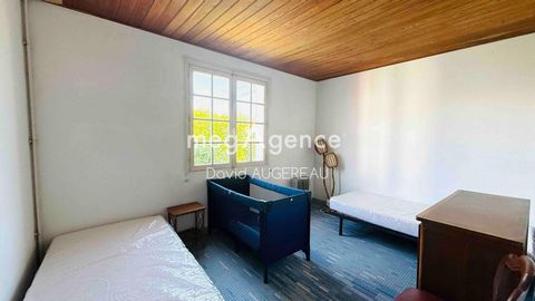 photo no. 10