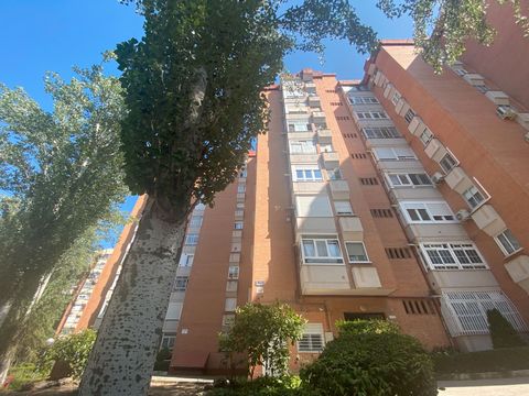 Het wordt verkocht in de Tribaldos-straat, 81 vierkante meter leven. Met huurder. Er zijn flats die vol zitten met geschiedenis, met routine, met bewoonde stiltes. Deze, aan de Tribaldos-straat, is niet zomaar een investering. Het is een uitnodiging ...