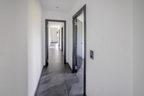 photo no. 10