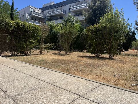 photo no. 18