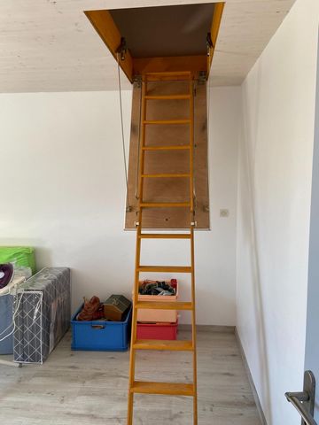 photo no. 13
