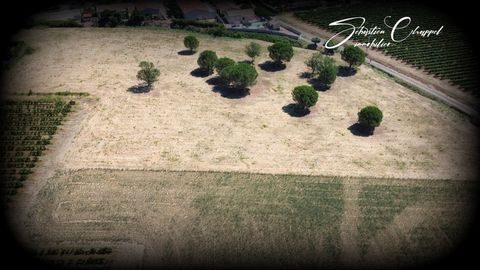 Terrain à vendre de 1011 m2 ALIGNAN DU VENT (34)