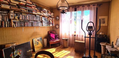 photo no. 9