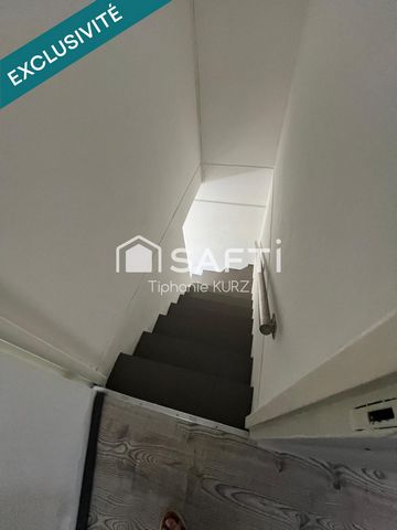 photo no. 6